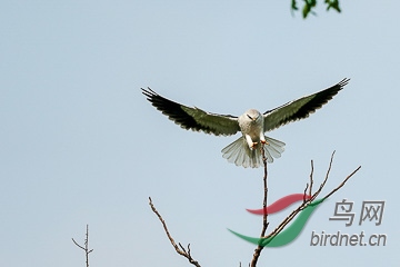 DSC04855 - ����.jpg