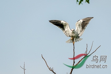 DSC04861 - ����.jpg