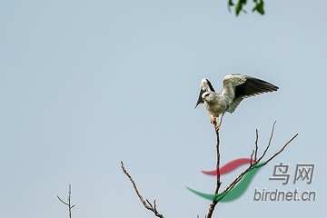 DSC04870 - ����.jpg