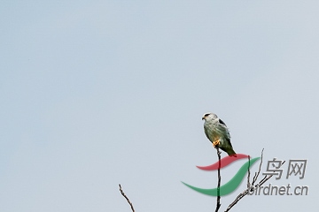 DSC04318 - ����.jpg