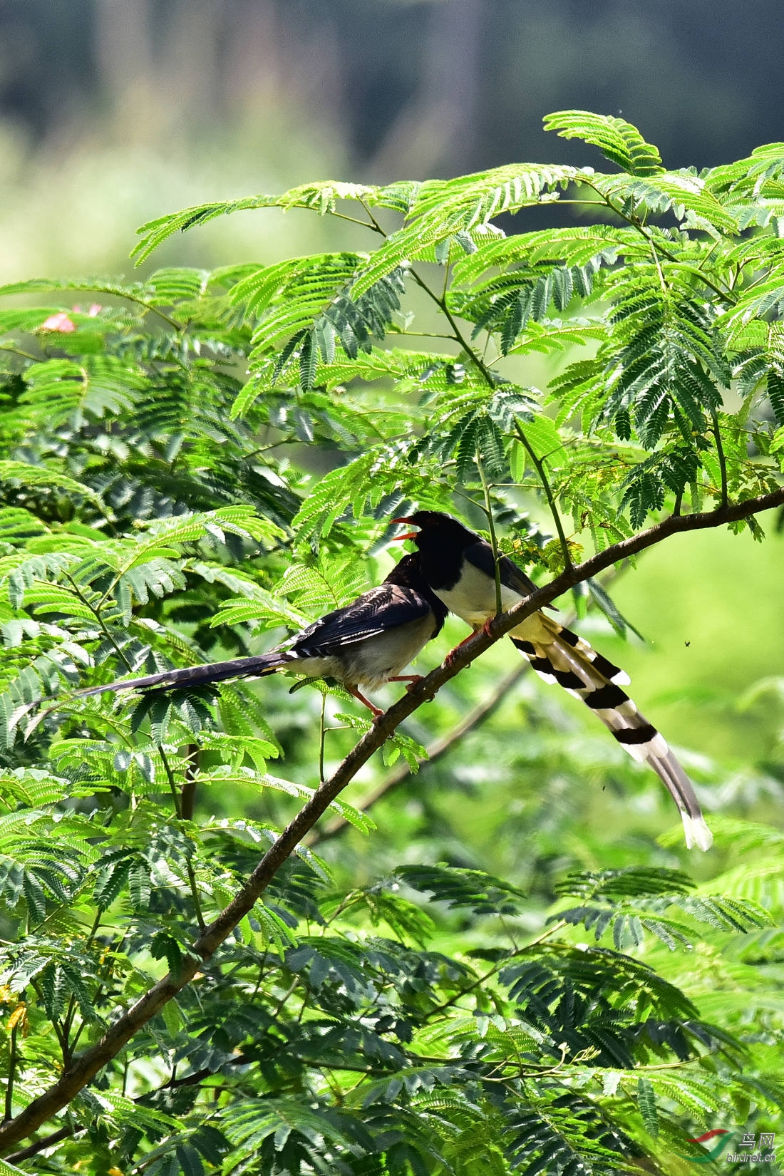 DSC_0055.JPG