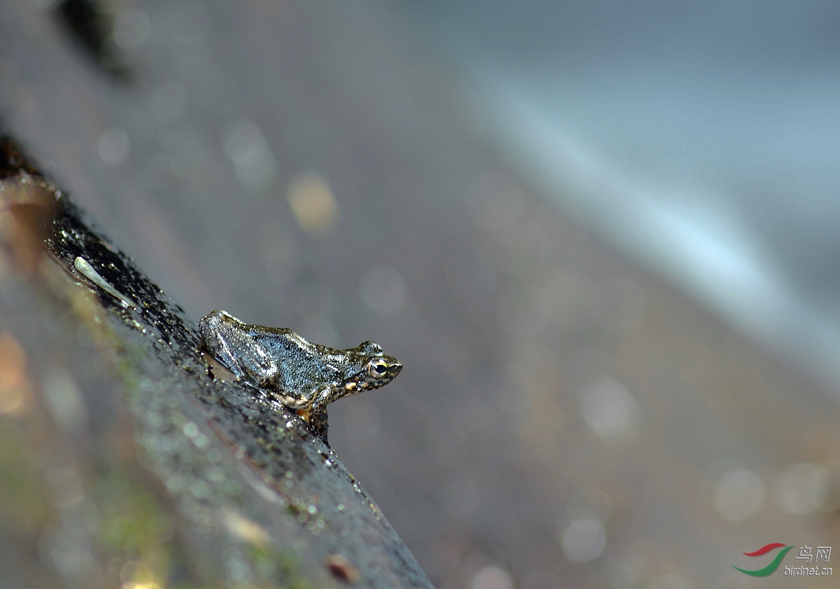 D72_2738.jpg