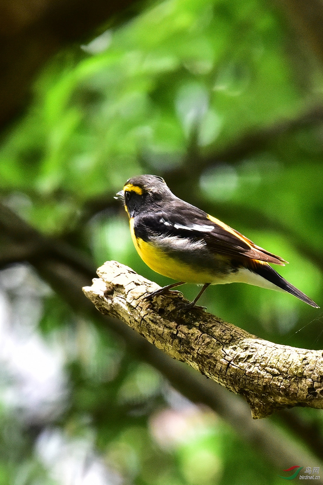 DSC_0828.JPG