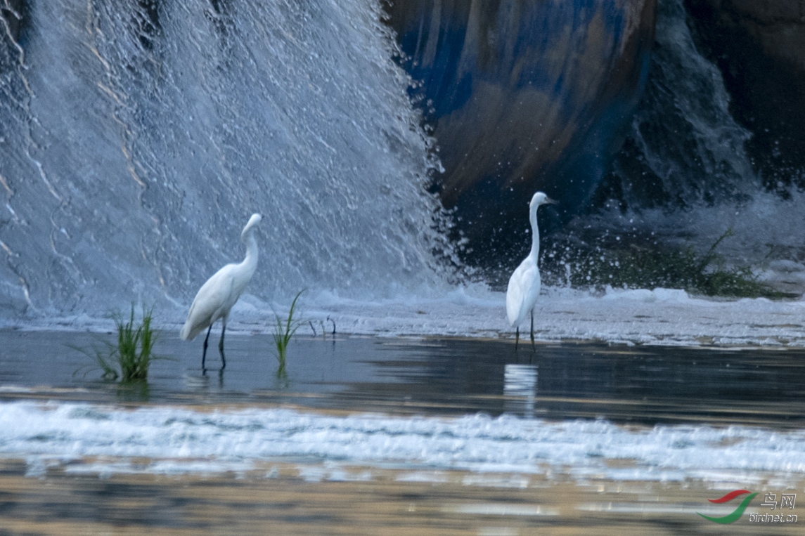 D85_2469.jpg
