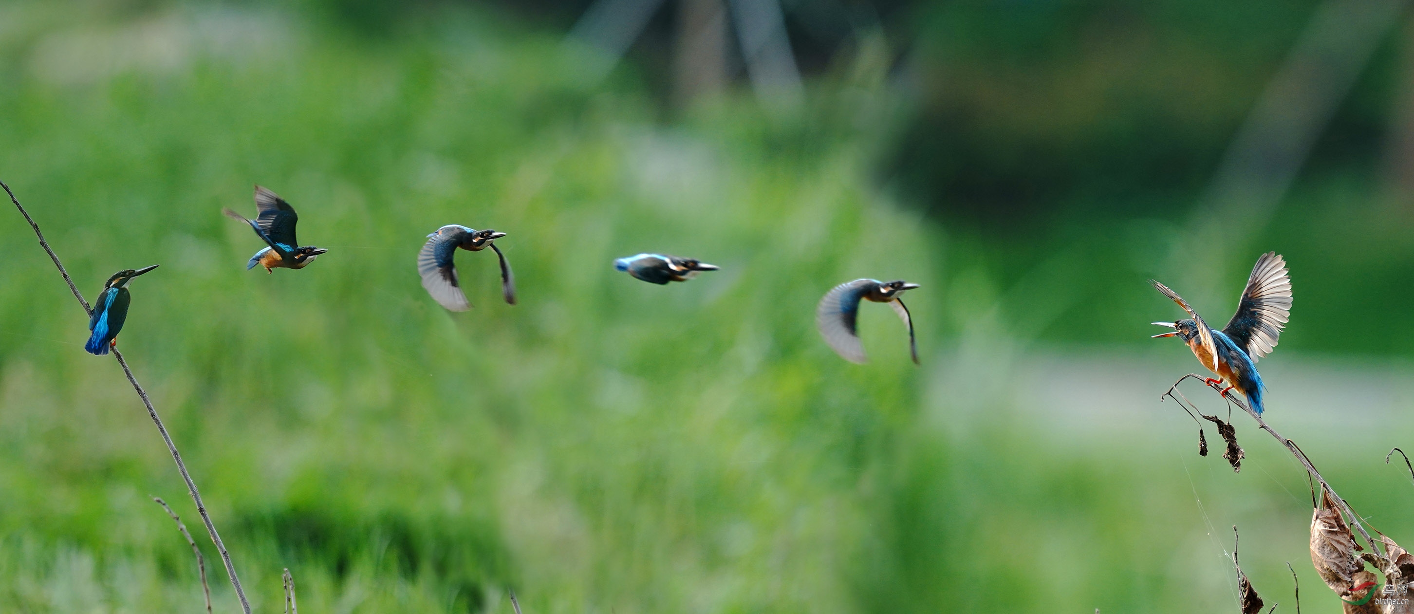 С����λ��