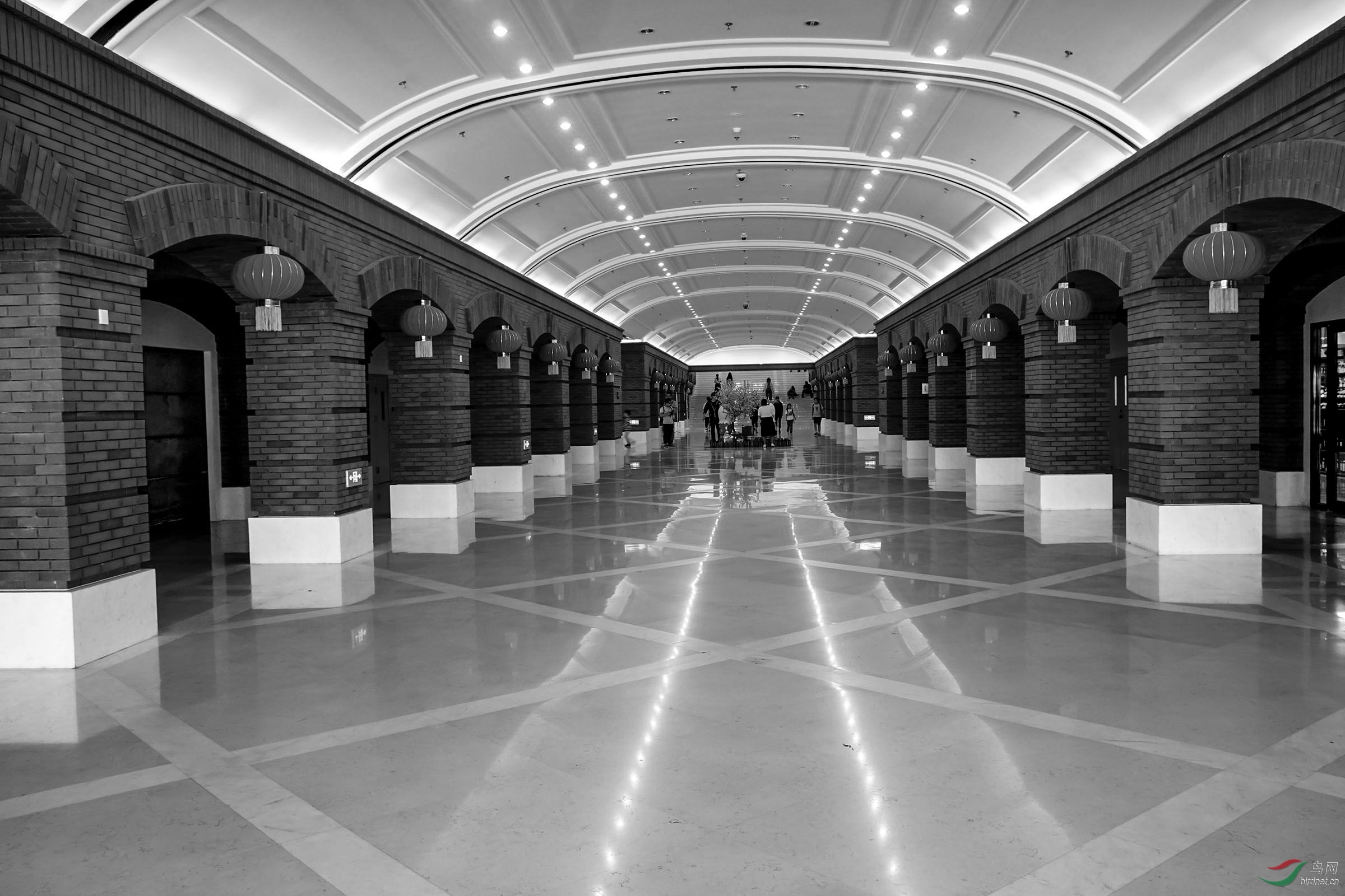 民园体育场地下厅祝贺老师荣获黑白影像首页精华