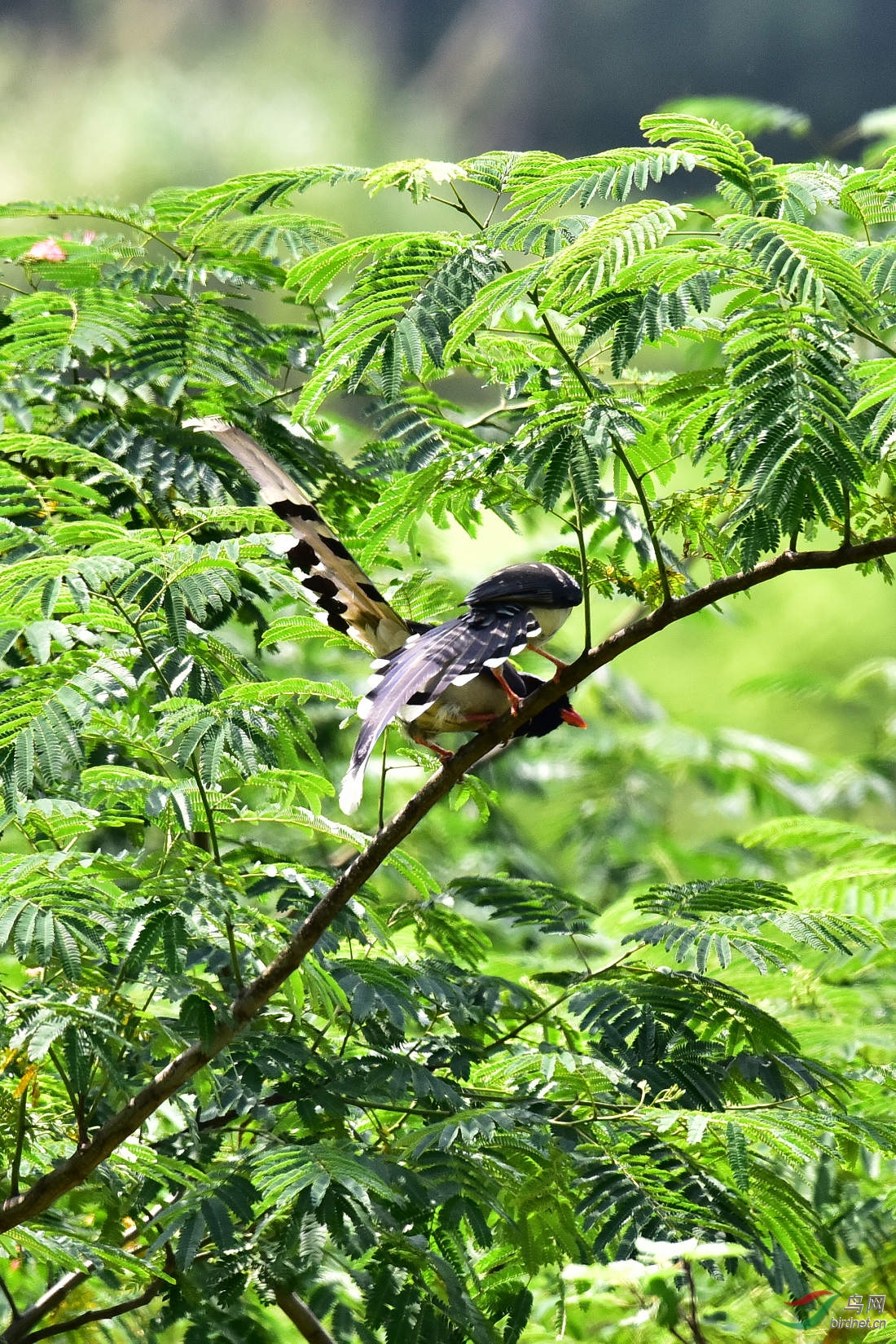 DSC_0066.JPG