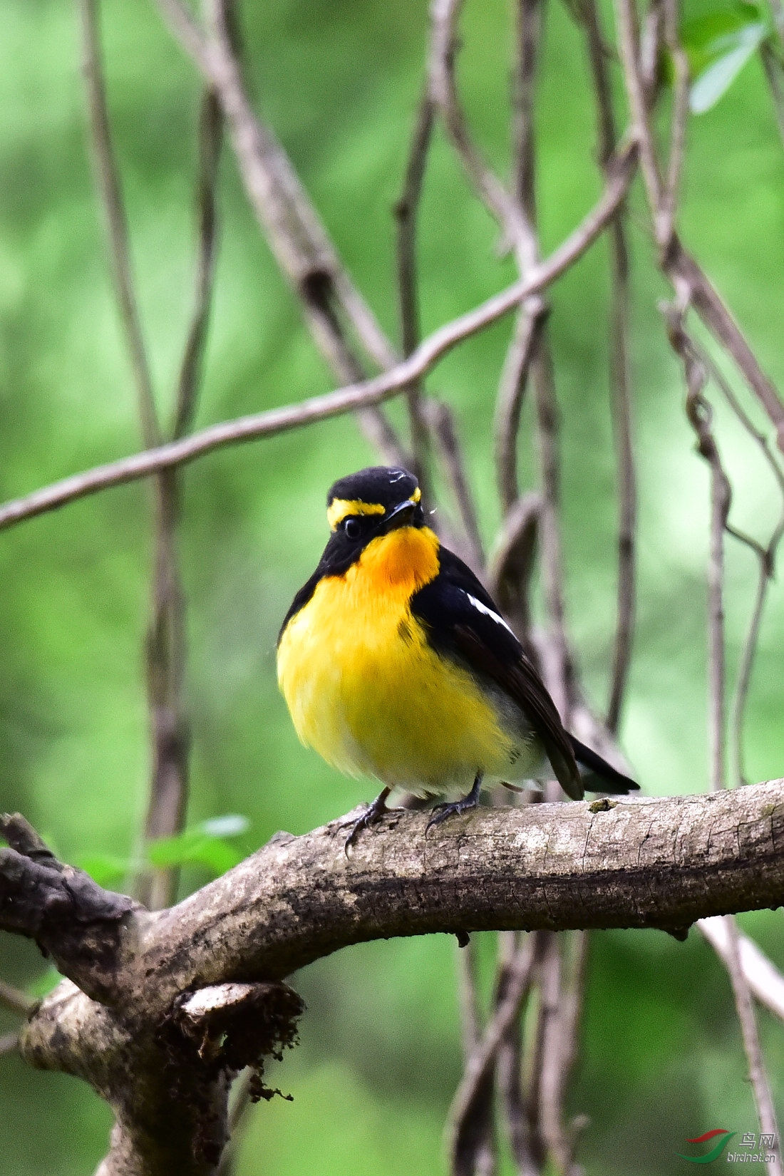 DSC_0837.JPG