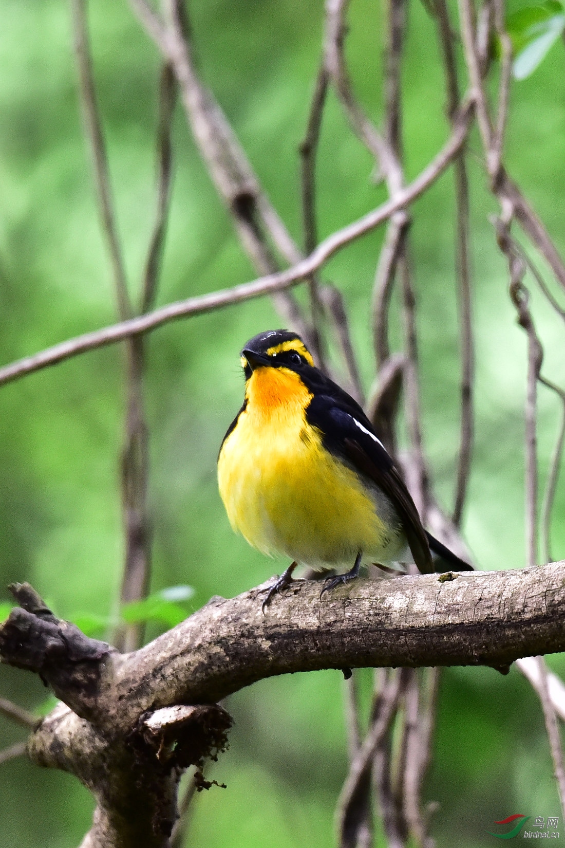 DSC_0838.JPG