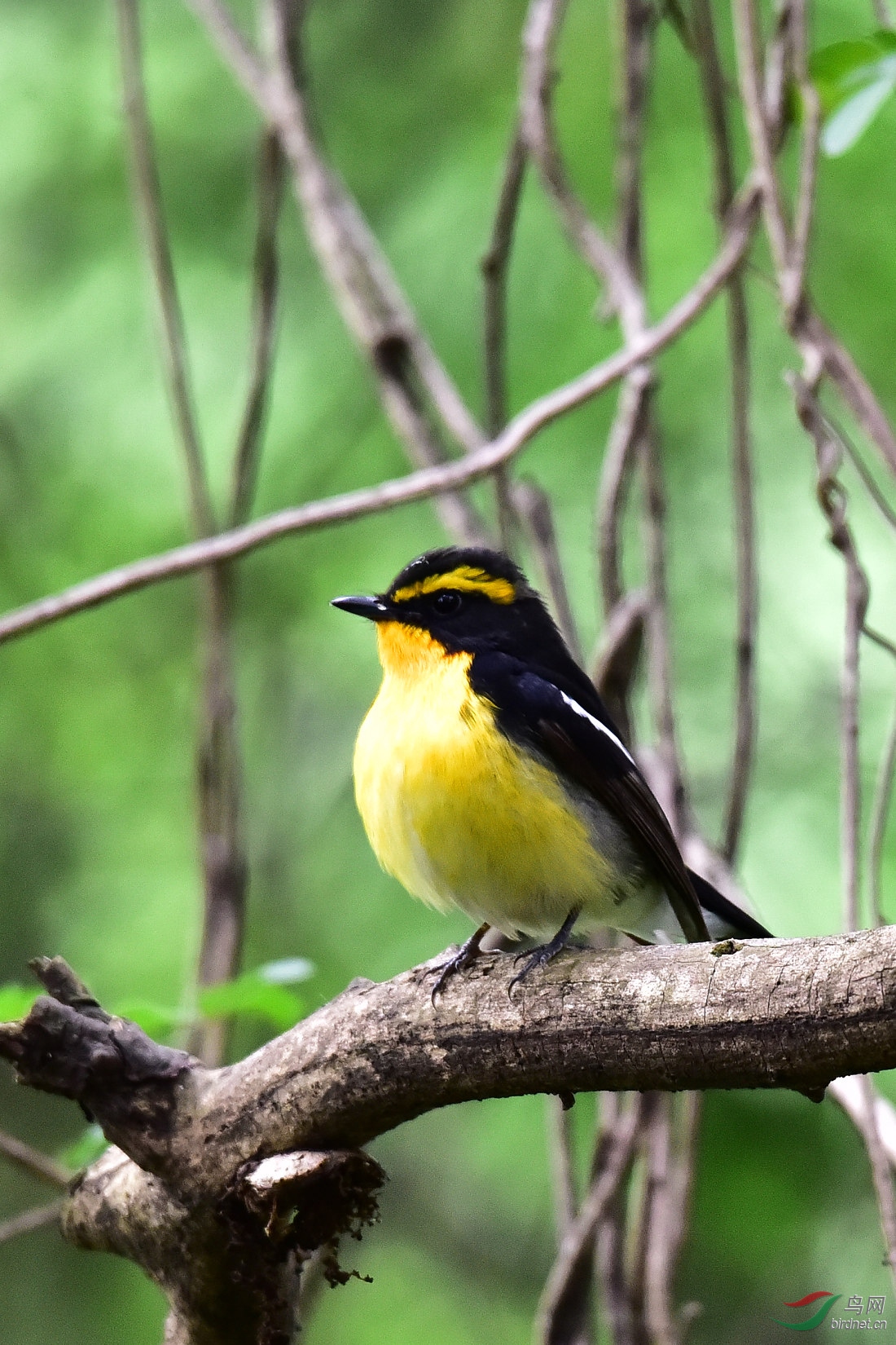 DSC_0839.JPG
