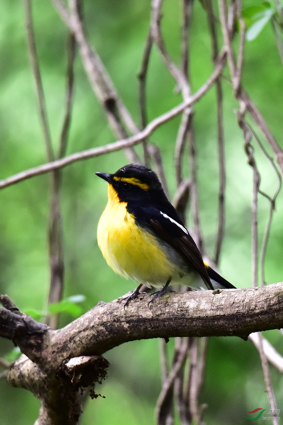 DSC_0840.JPG