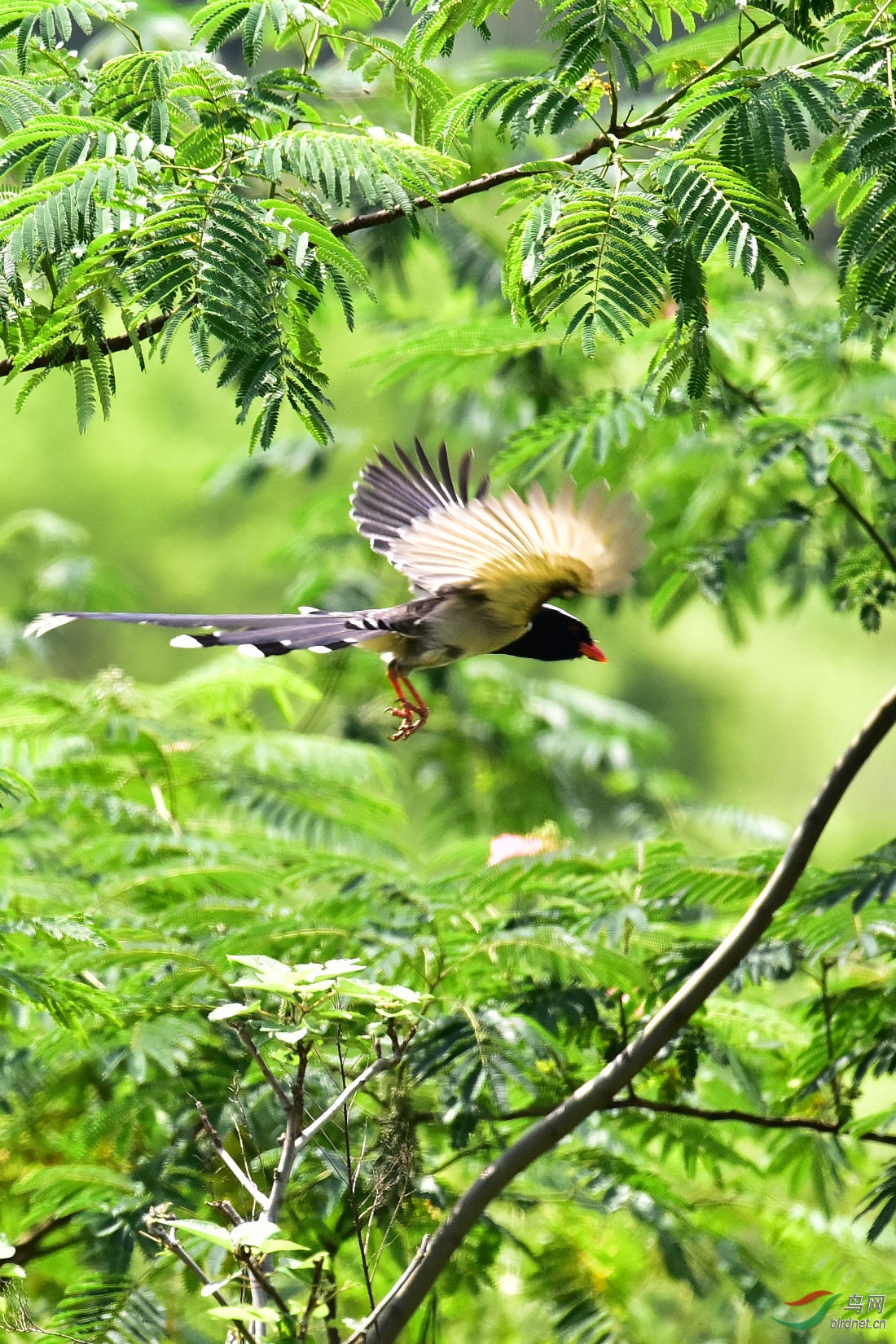 DSC_0070.JPG