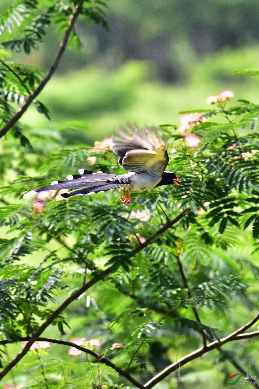 DSC_0072.JPG