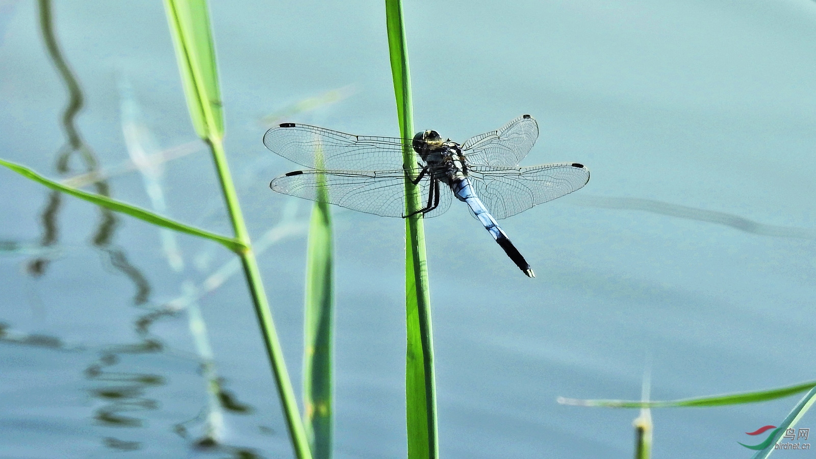DSCN2699.JPG