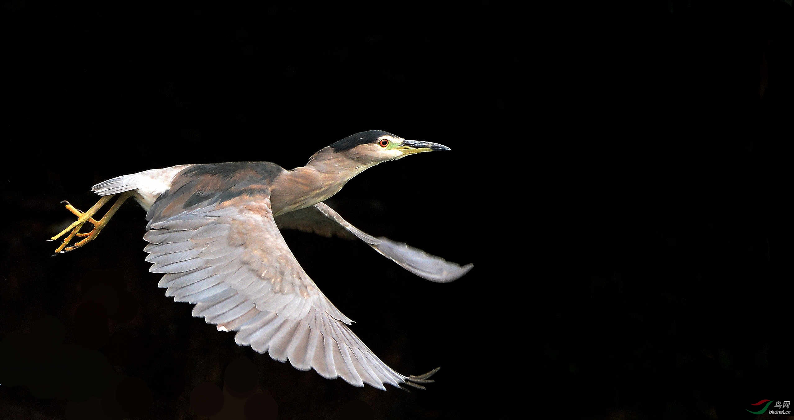 DSC_6798.JPG