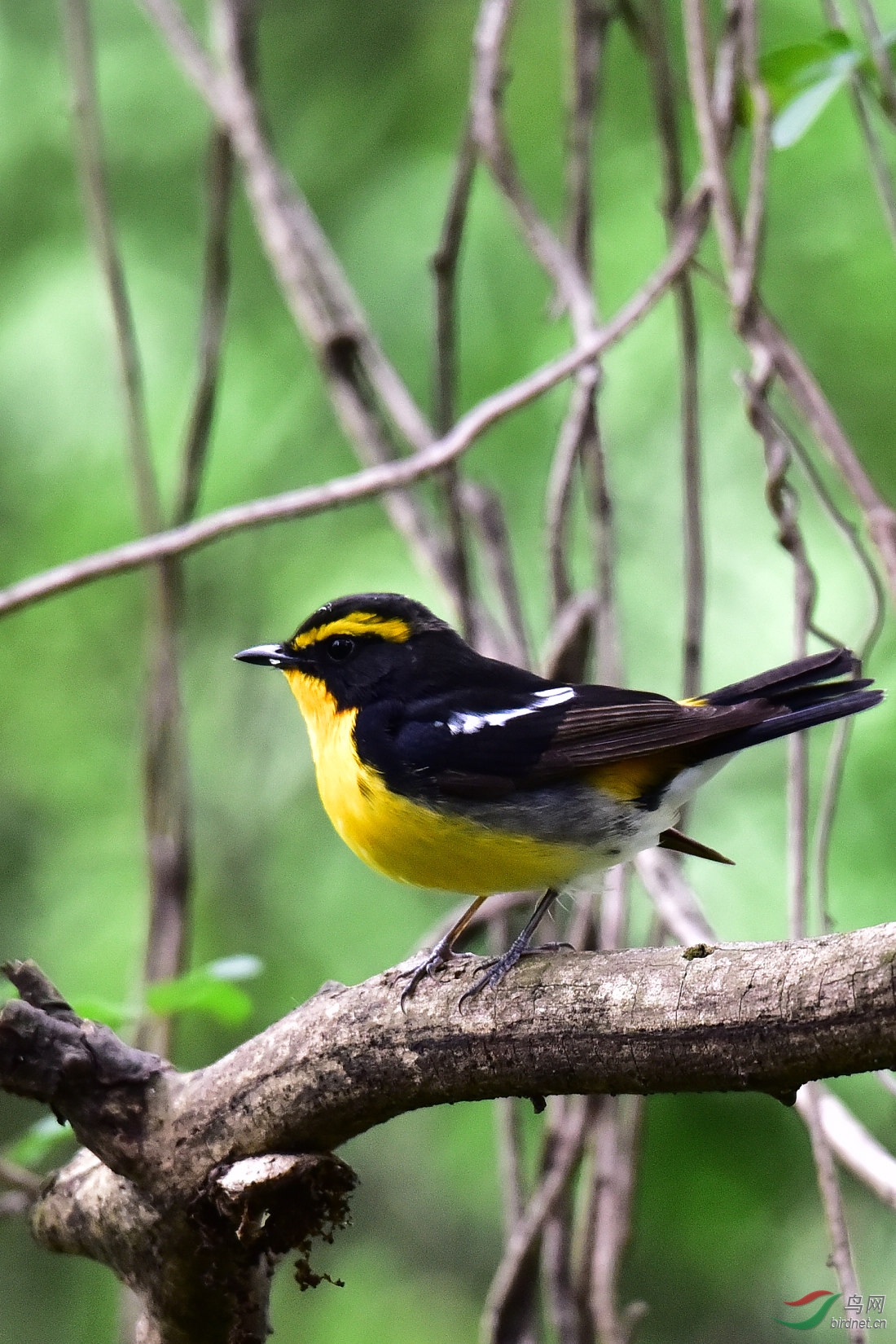 DSC_0844.JPG