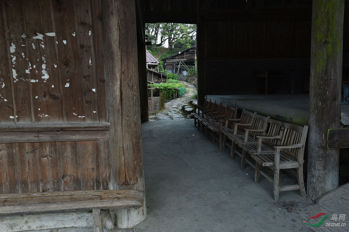 D8I_9184.jpg