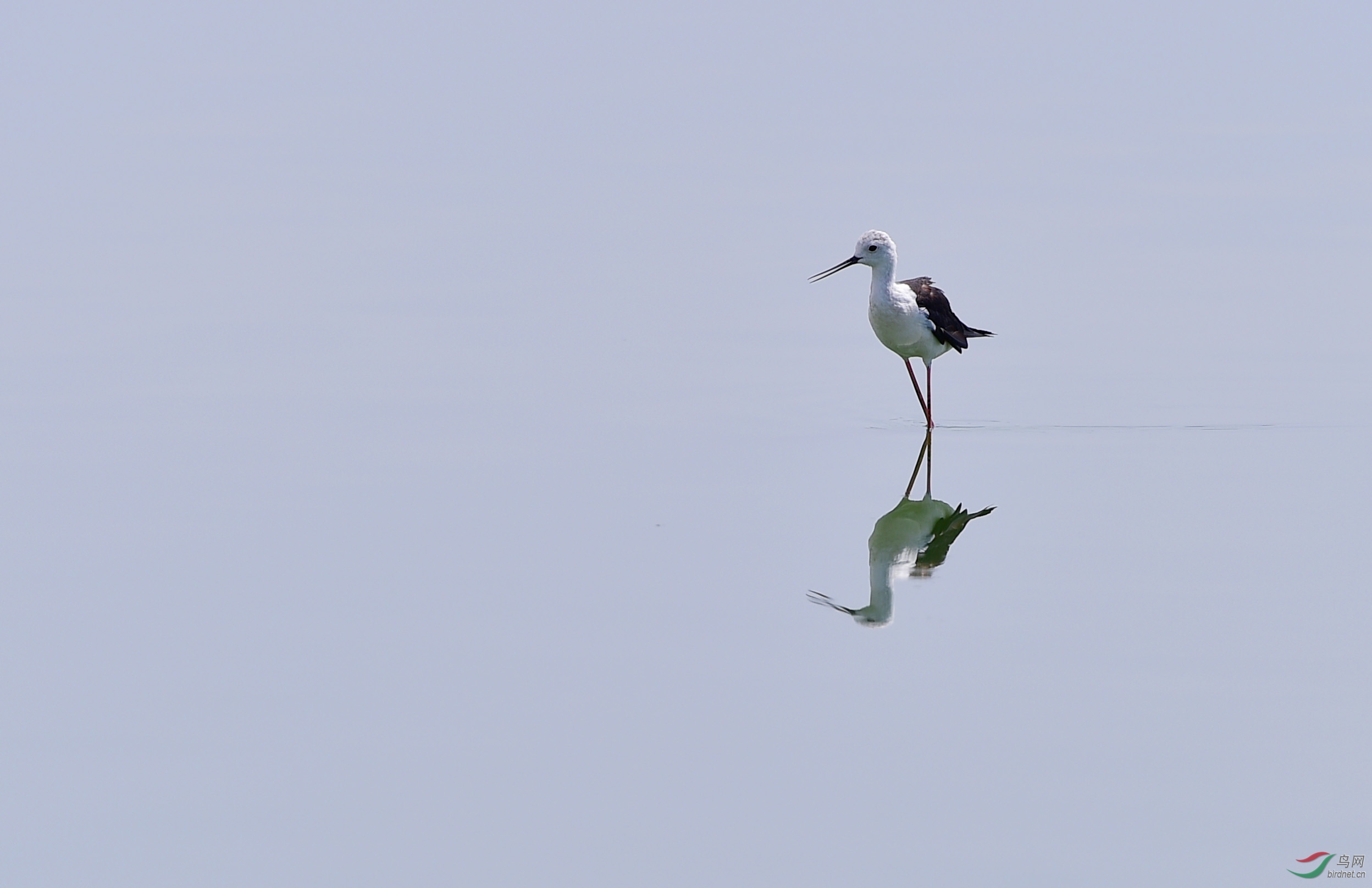 �ڳ᳤����