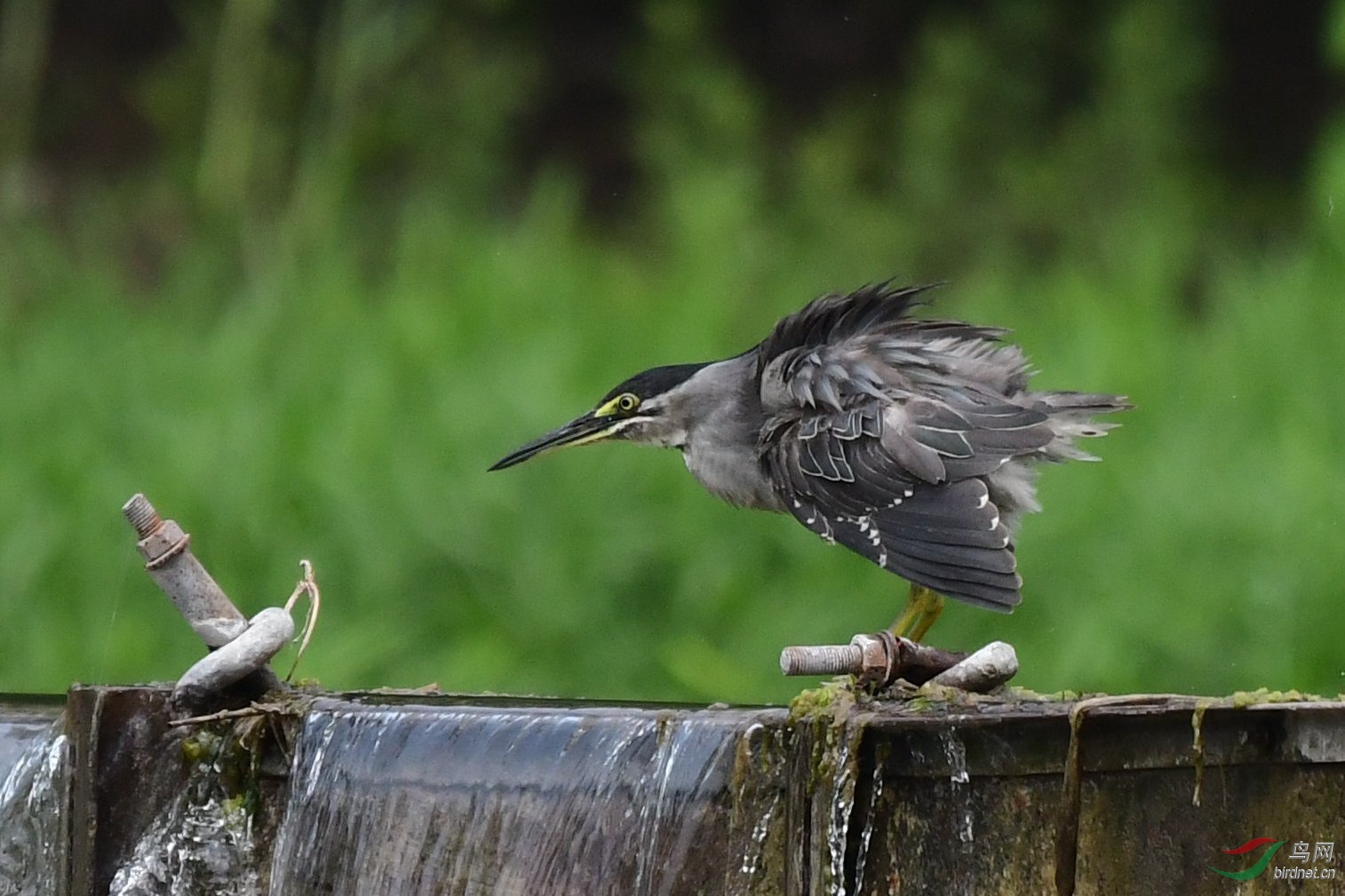 ���أ�����{ 563.JPG