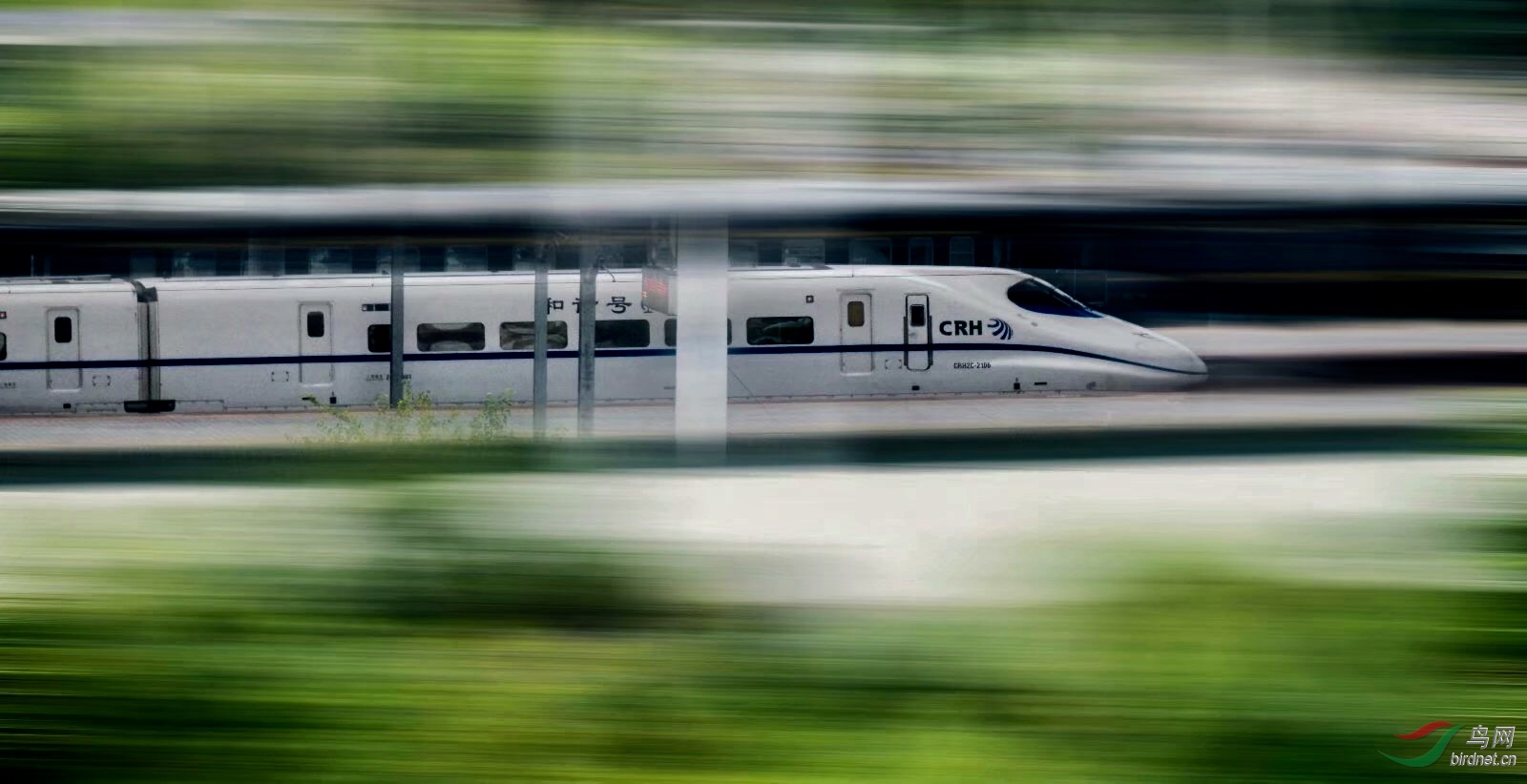 55AA1796-9B8A-4659-A208-28E054F5DDA0.jpeg