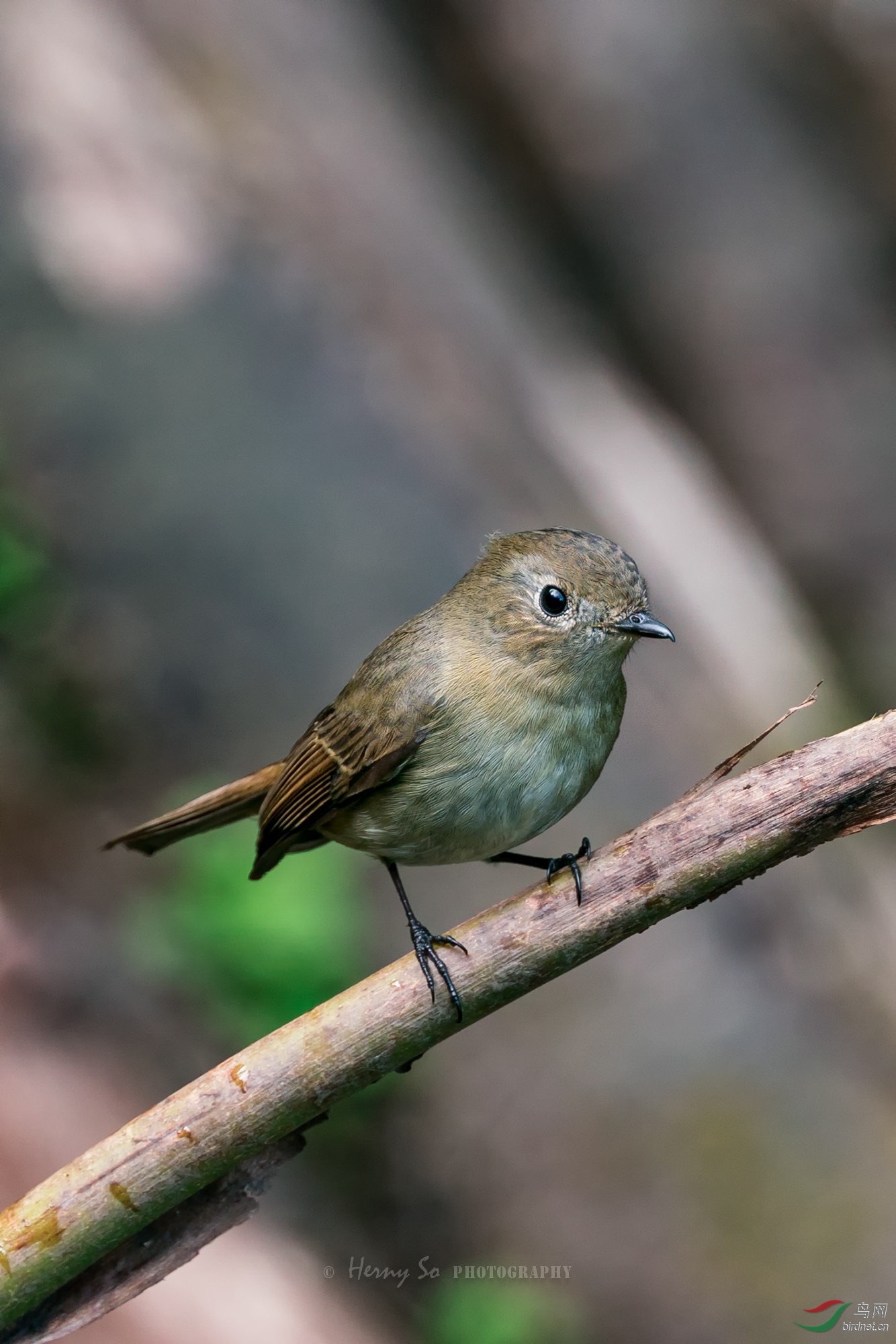 DSC00722 ����_1.jpg