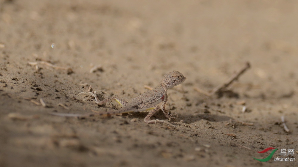 DSC_8916.JPG