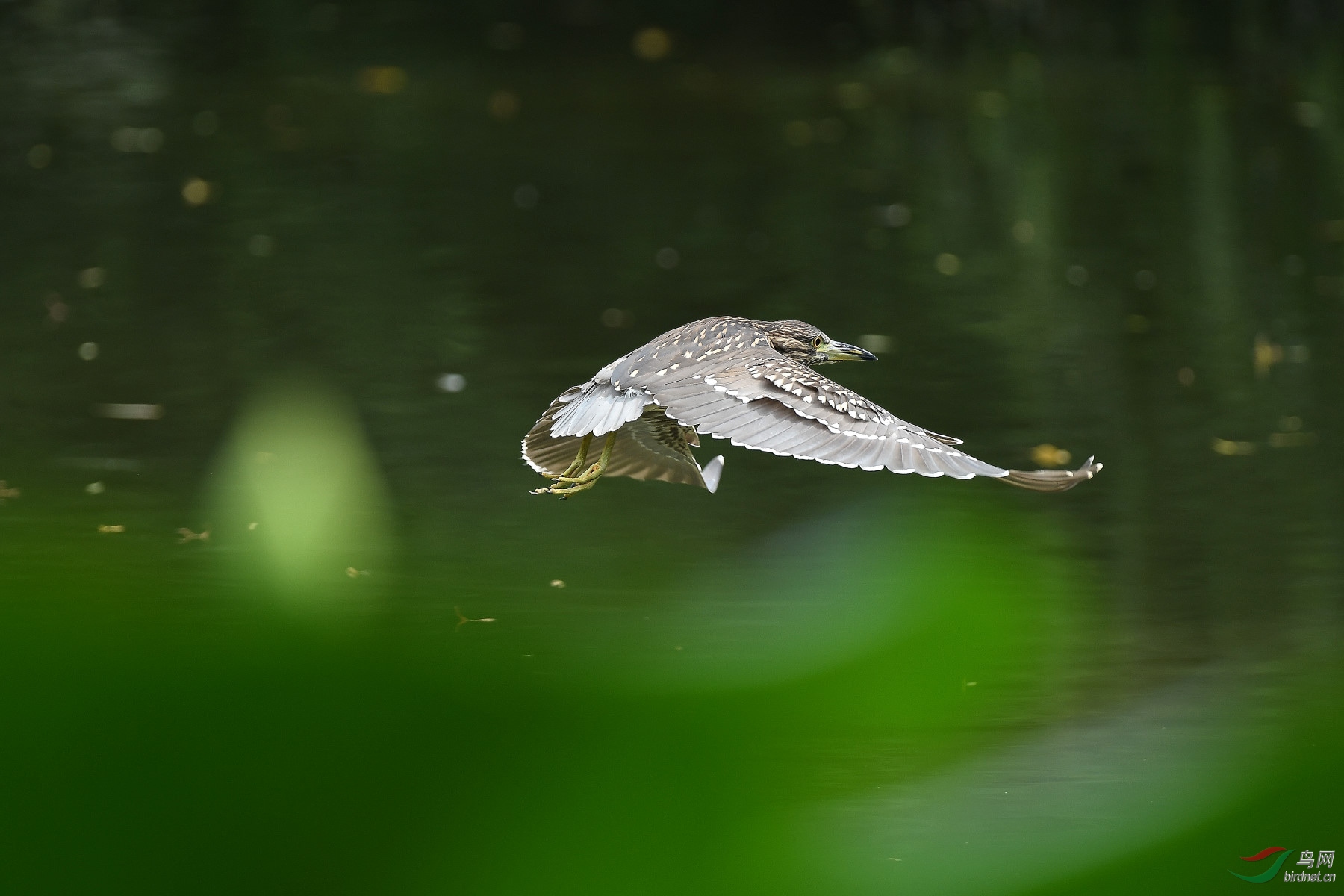 DSC_2302.JPG