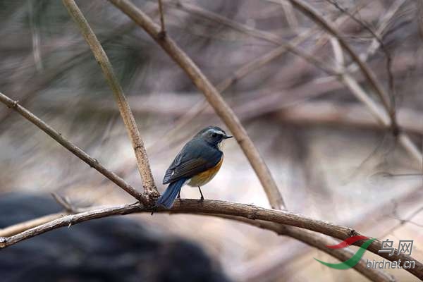 ��˼�� 259.jpg