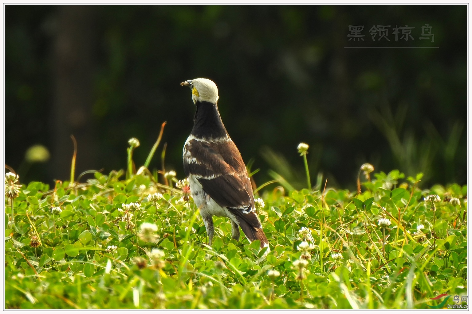 ��û��ת������ϧ��