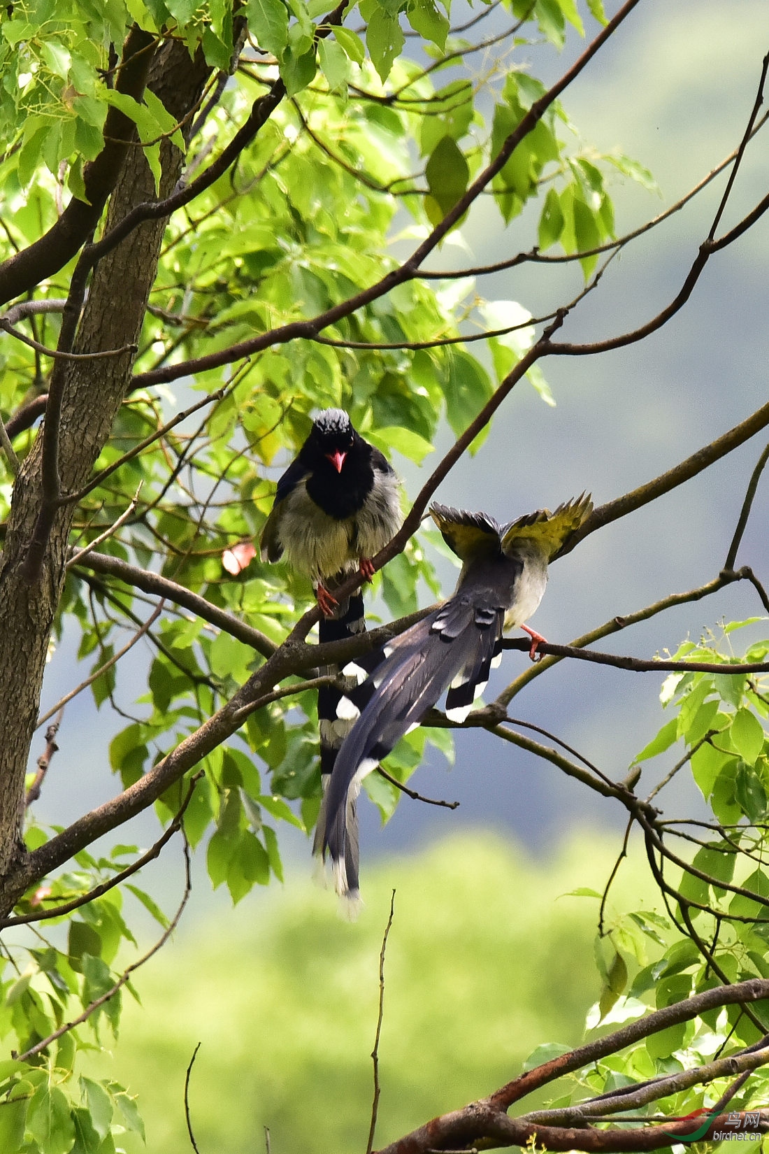 DSC_0081.JPG
