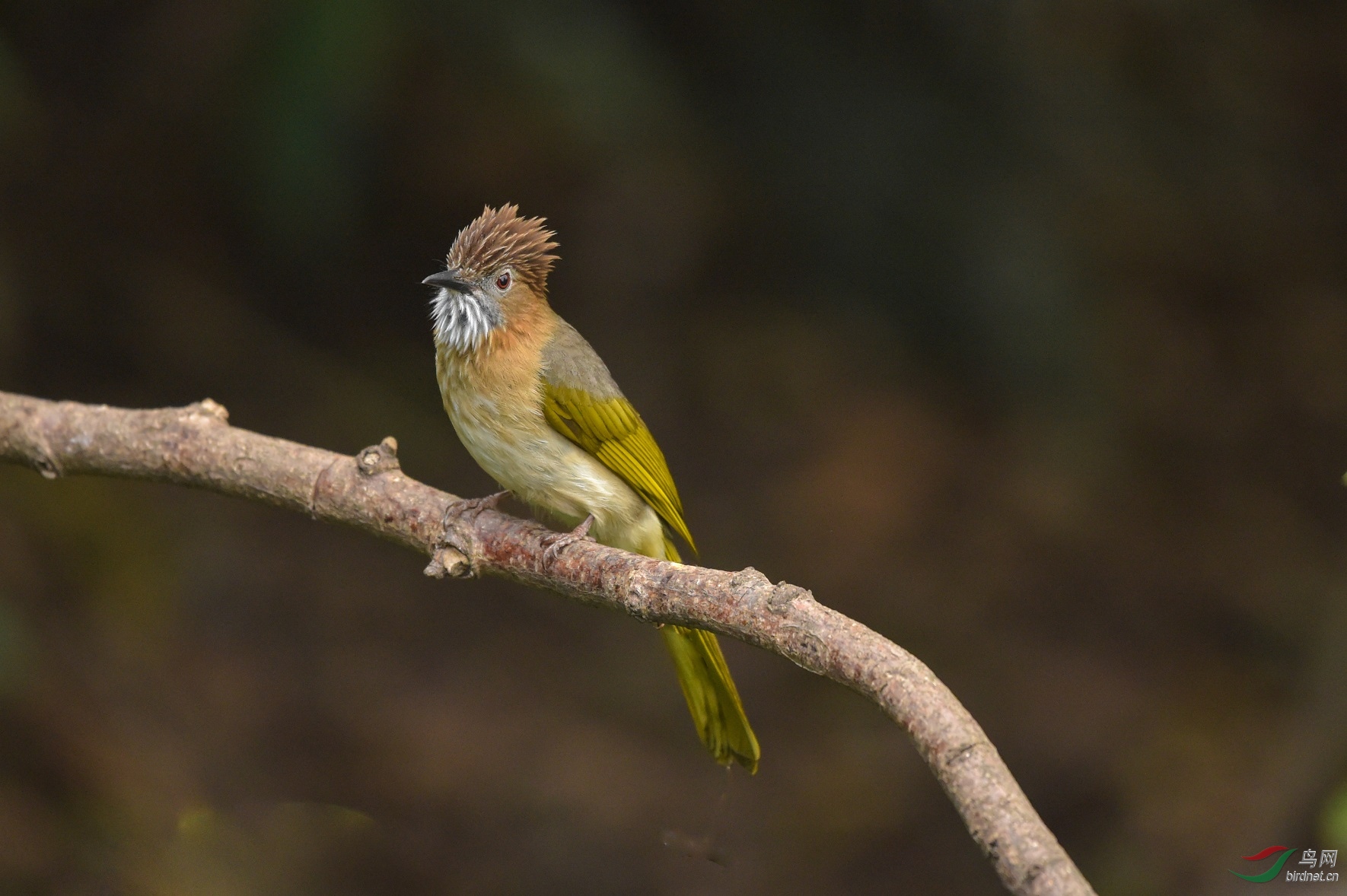 TJP_3615 - ����.jpg