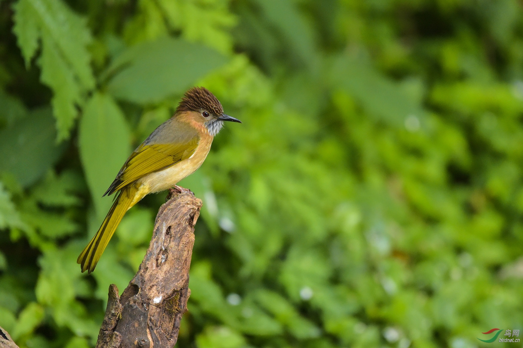 TJP_5280 - ����.jpg