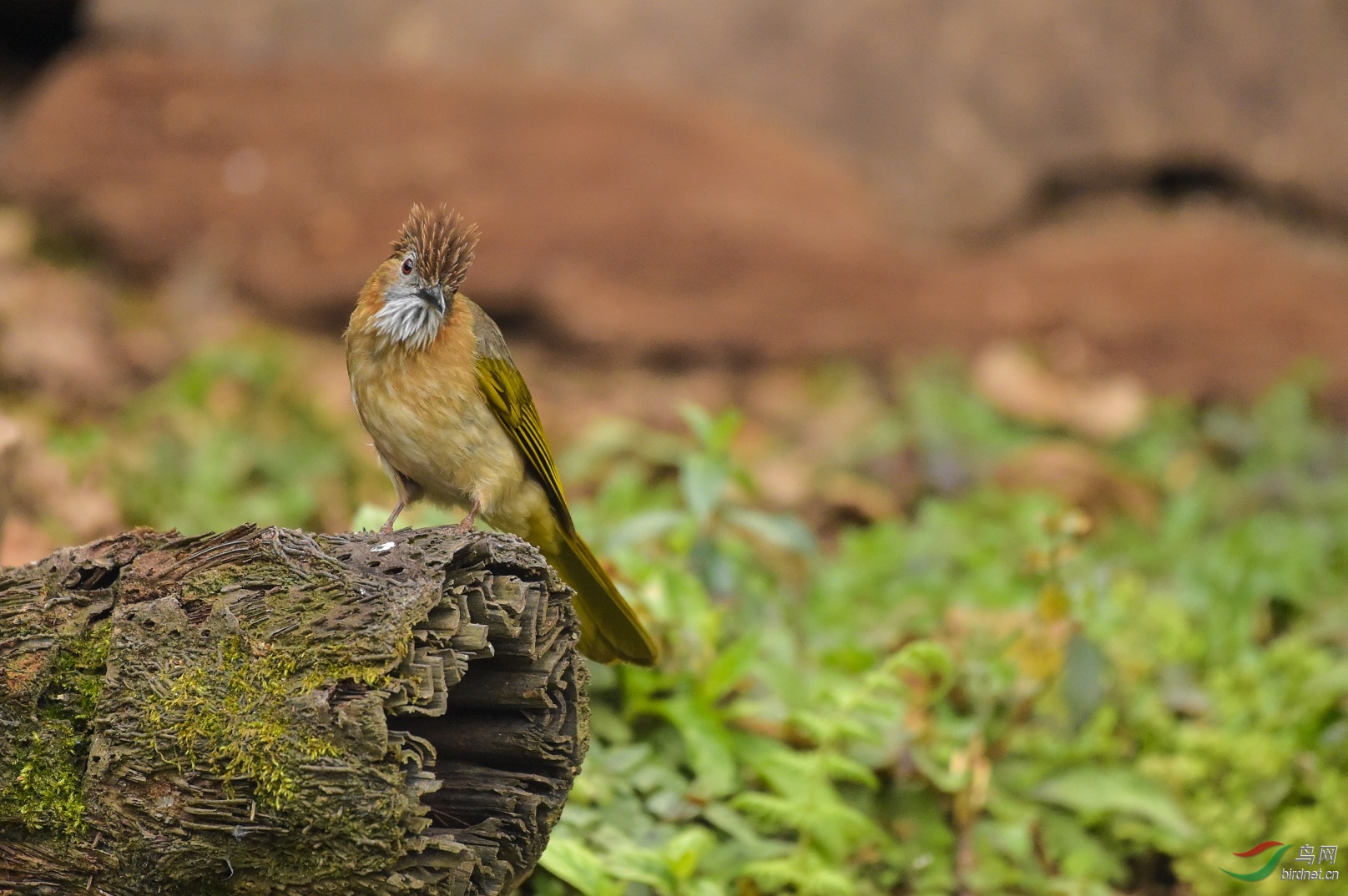 TJP_3589 - ����.jpg