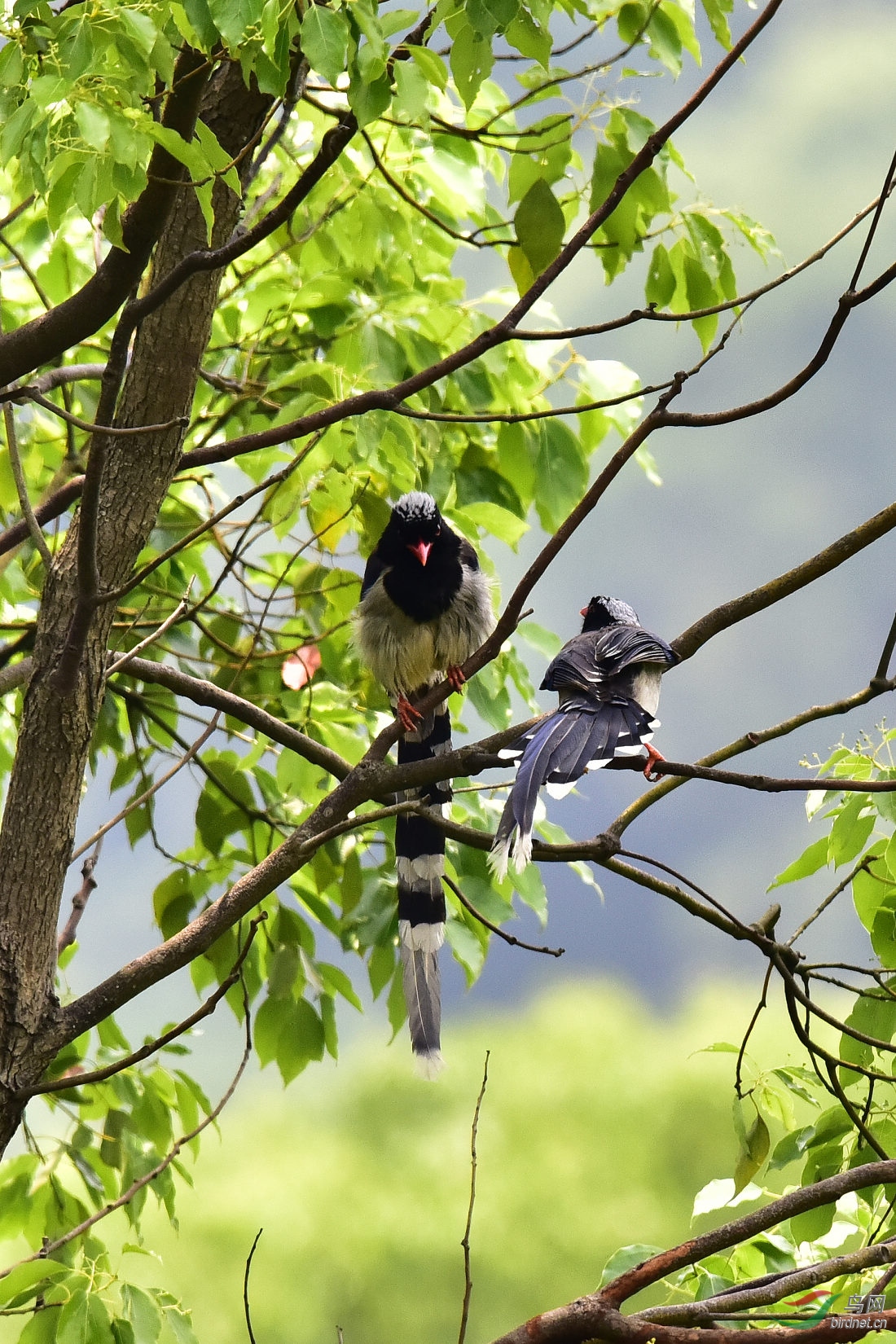 DSC_0083.JPG