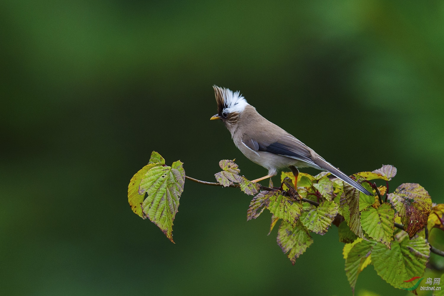 DSC_5150fb.jpg