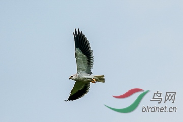 DSC04333 - ���� (2).jpg