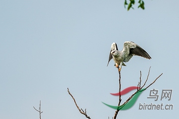 DSC04868 - ����.jpg