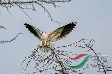 DSC05185 - ����.jpg