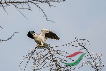 DSC05191 - ����.jpg