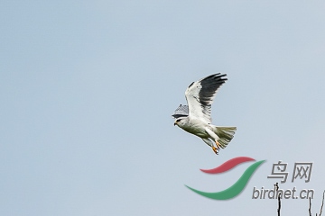 DSC04327 - ���� (2).jpg