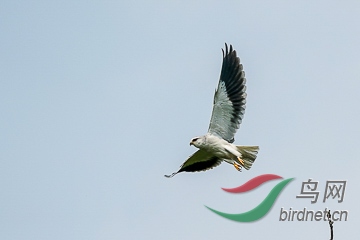 DSC04328 - ���� (2).jpg