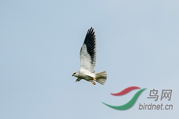 DSC04332 - ���� (2).jpg