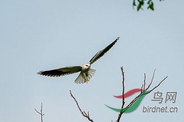 DSC04848 - ���� (2).jpg