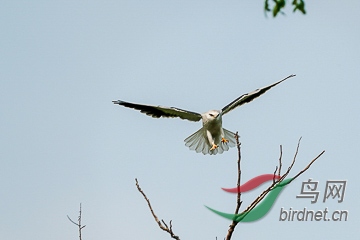 DSC04852 - ���� - ����.jpg