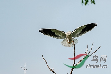 DSC04854 - ���� - ����.jpg