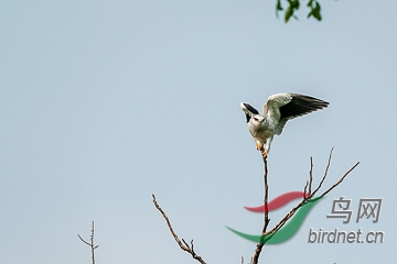 DSC04873 - ����.jpg