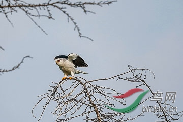 DSC05194 - ����.jpg