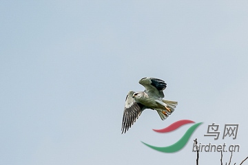 DSC04326 - ���� (2).jpg