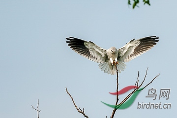 DSC04856 - ���� - ����.jpg