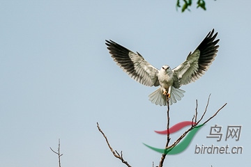 DSC04859 - ����.jpg